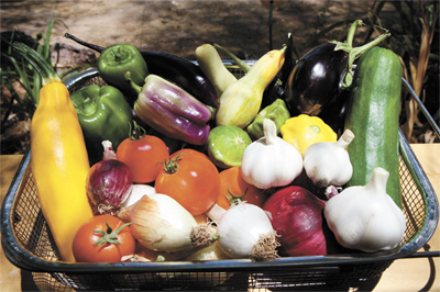 veggie